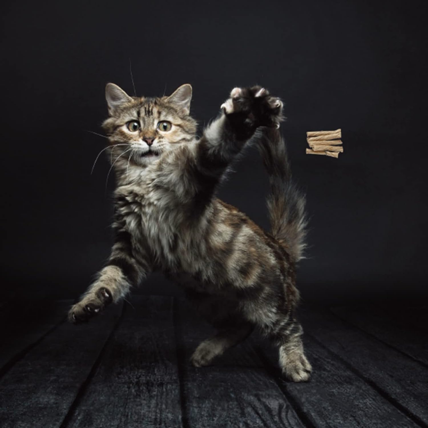 Cat Dancer Zabawka, Brązowy, 15,2 cm - obrazek 3