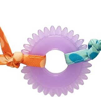 Petstages Dental Kitty Chew Wheel - Zabawka dla kotów z kocimiętką - wielobarwna