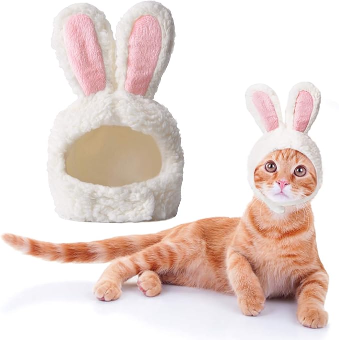 DU3G Pet Hat Acrylic