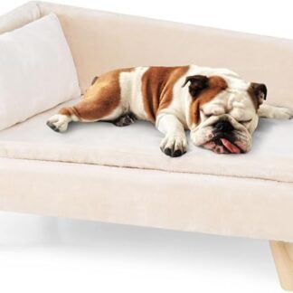 COSTWAY Luksusowa sofa dla kota, podwyższone legowisko dla kota, do 50 kg, kanapa dla kota z 2 poduszkami, oparcie i drewniane nogi, miękka, dla średnich i małych kotów, sofa dla psów do użytku