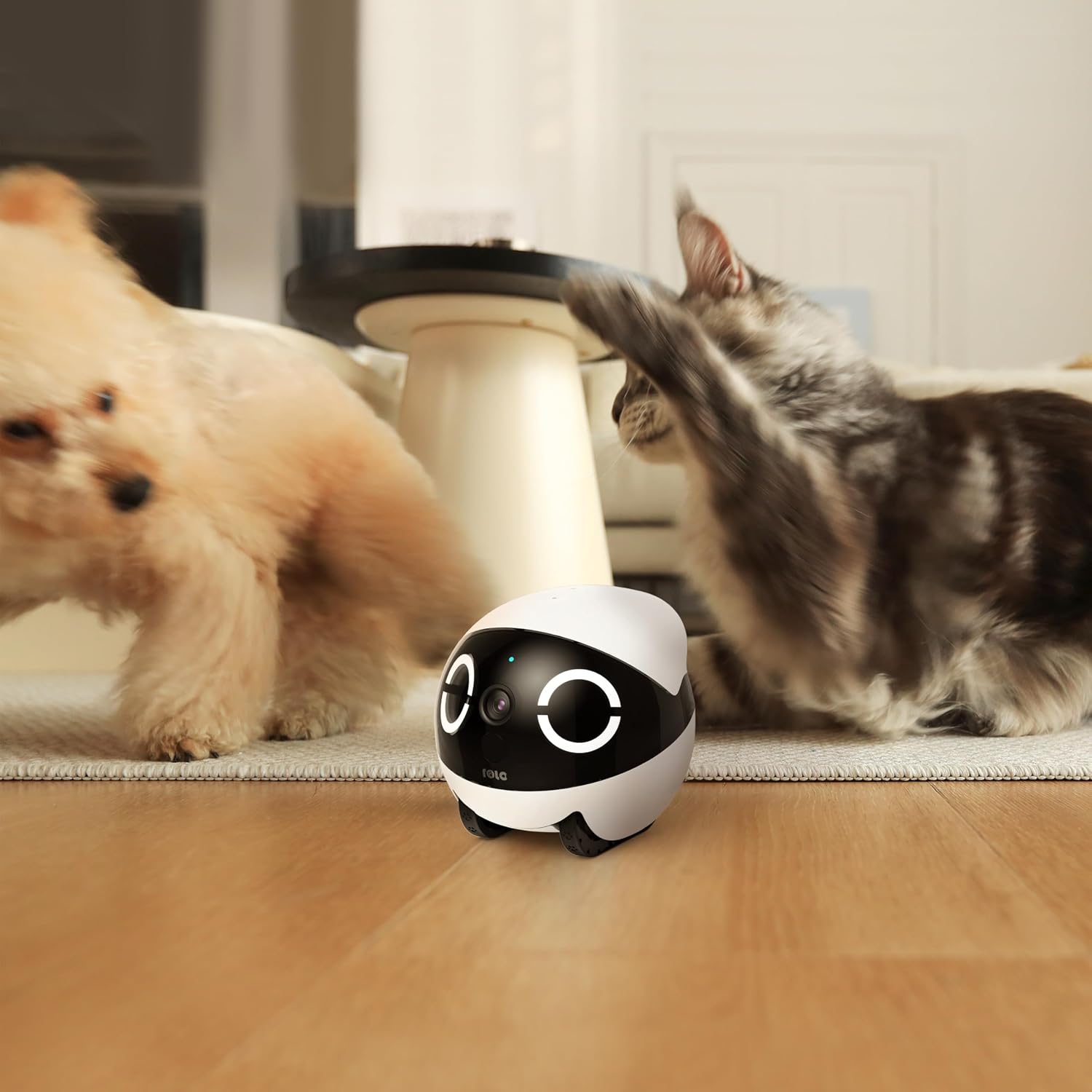 Enabot ROLA Mini zabawny robot towarzyszący zwierzętom domowym - obrazek 3