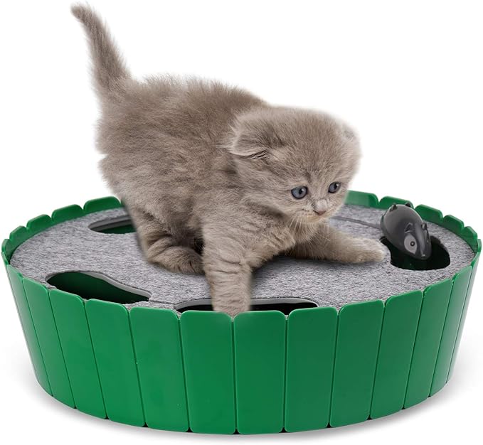 Pawaboo Interactive Cat Toy With Running Mouse, Electronic Motion Automatic Teaser for Indoor Cats, Pop and Play Hide Seek Hunting Mouse for Pet Kitten Play Fun Exercise, Green