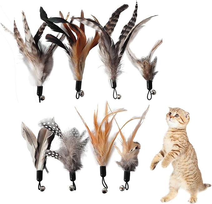 Kot Feather Toys, 8 sztuk zapasowych zabawek z piórami dla kotów, bez barwników chemicznych, łącznie z wkładami do naturalnych piór dla kotów