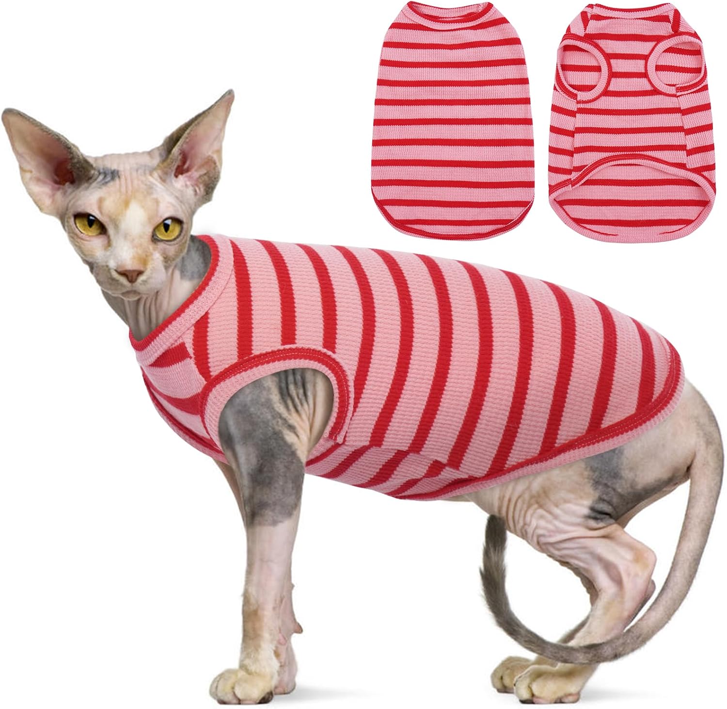 Sphynx Ubranie dla Kota, Oddychające Bezwłose Koszule z Kotami, W Paski, Koszulka Bez Rękawów, Sweter z Kotem, Odzież dla Zwierząt Domowych, Cornish Rex - obrazek 5