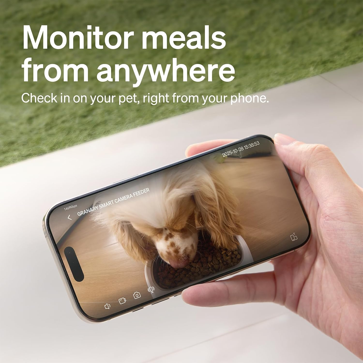 PETLIBRO Automatyczny dozownik do karmy 5 l z kamerą 1080P, karmnik 5G WiFi z aplikacją, czujnik niskiego poziomu żywności, alarm ruchu i dźwięku, 1-10 posiłków - obrazek 7