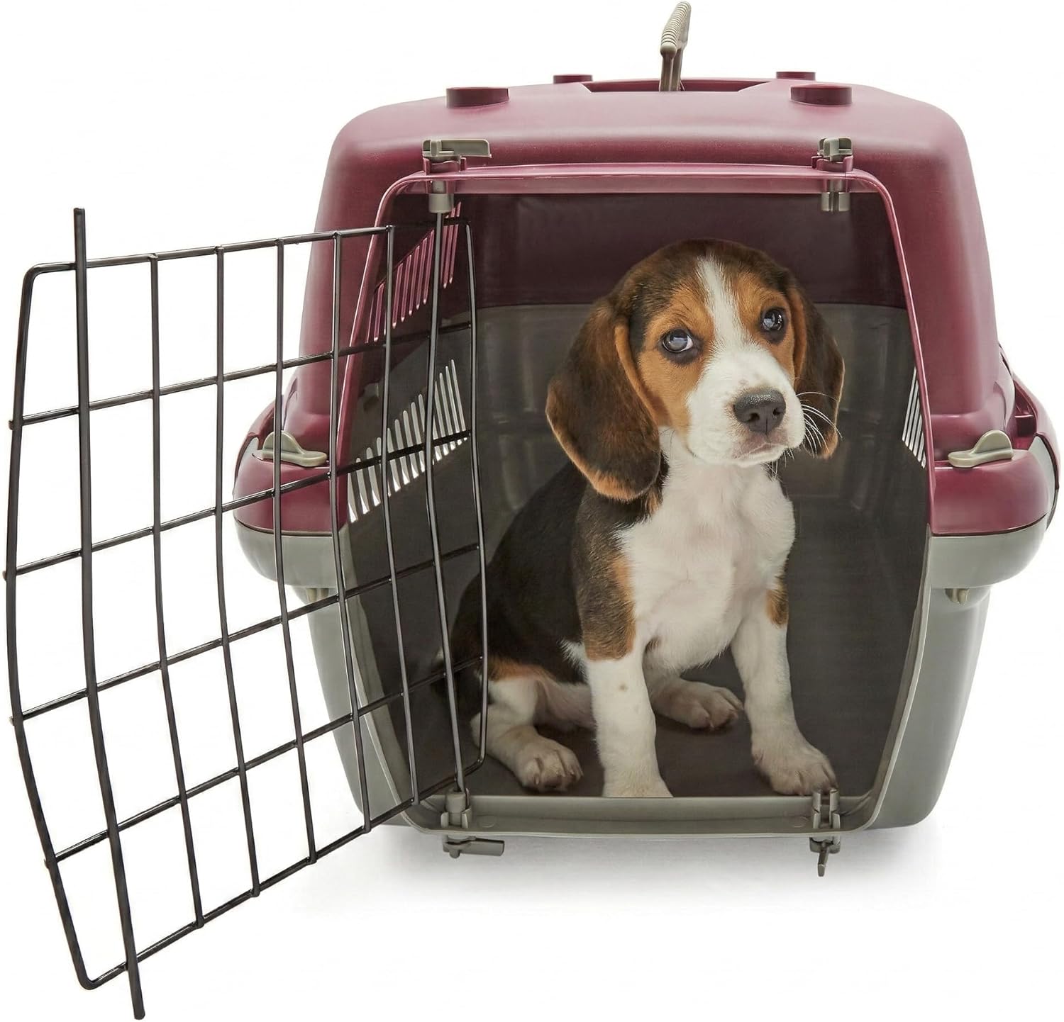 HAPPET Transporter Oggy M 54×38×33 cm – Zielony Plastikowy Transporter Dla Kota I Średniego Psa, Metalowa Kratka, Wentylacja, Uchwyt, Zaczepy Do Pasów, Lekki I Łatwy W Czyszczeniu - obrazek 3