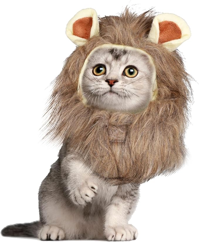 BOXOB Peruka z Grzywą Lwa dla Kota, Czapka z Grzywą Lwa Miękka Peruka Zwierzęca Zmywalny Fantazyjny Kostium na Halloween Boże Narodzenie Wielkanoc Urodziny Festiwal Imprezę Cosplay (Rozmiar L, Żółty)