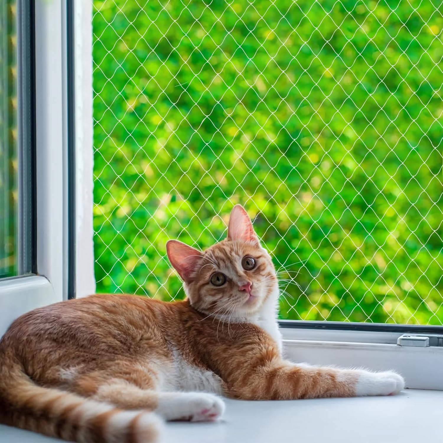 Nylonowa siatka ochronna dla kotów na balkon, przezroczysta, możliwość przycięcia, odporna na ugryzienia, siatka balkonowa dla kotów, do zabezpieczenia tarasu, okien i drzwi (3 x 4 m) - obrazek 2