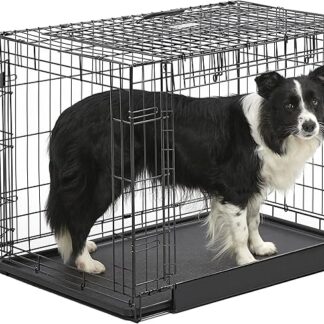 MidWest Homes for Pets Intermediate Ovation Double Door 36-inch Folding Metal Dog Crate, Front and Up & Away Side Doors, Space-Saving Design